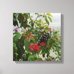 LIENZO NARANJA BUTTERFLY