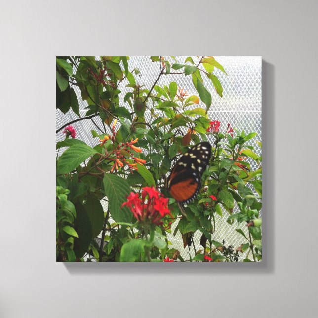LIENZO NARANJA BUTTERFLY (Anverso)