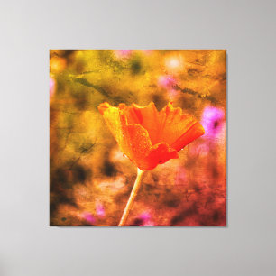 Lienzo Naranja chiffon amapola y pared