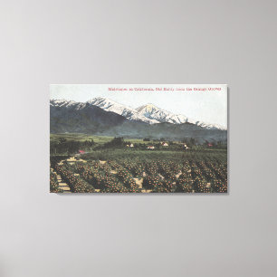 Lienzo Naranja crece a distancia con el viejo Monte Baldy