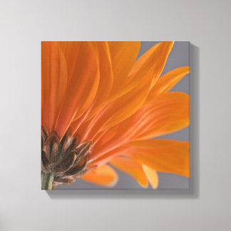 Lienzo Naranja Daisy en gris