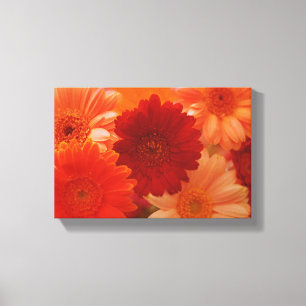 Lienzo Naranja Daisy Flower Photo Canvas Wall Art Print