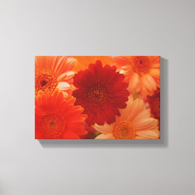 Lienzo Naranja Daisy Flower Photo Canvas Wall Art Print (Anverso)