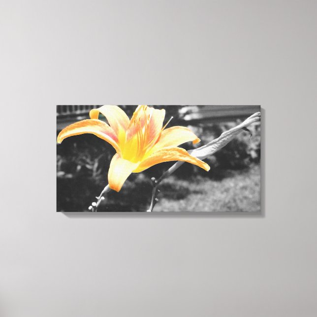 Lienzo Naranja Day Lily Picture (Anverso)