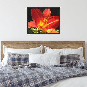 Lienzo Naranja Daylily Bloom Fotografía Floral