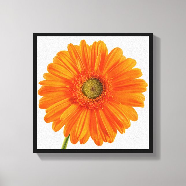 Lienzo Naranja de fotografía Bella Artes Gerbera Daisy (Anverso)