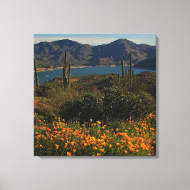Lienzo Naranja Flor silvestre Saguaro Cactus Lake View Ar