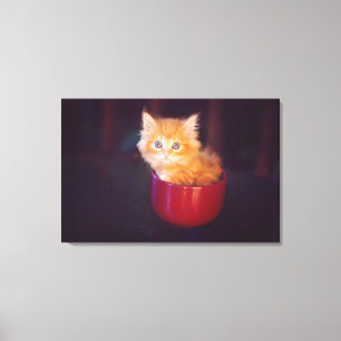 Lienzo Naranja Gatito En Una Mug Roja