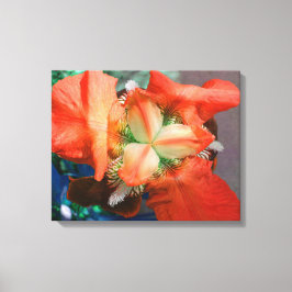 Lienzo Naranja Iris Canvas