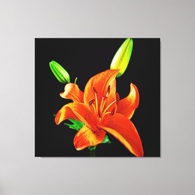 Lienzo Naranja Lily On Black (Anverso)