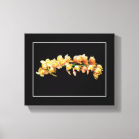 Naranja pálido orquídeas amarillas fondo negro