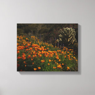 Lienzo Naranja Poppies Desert Wildflowers Cholla Cactus