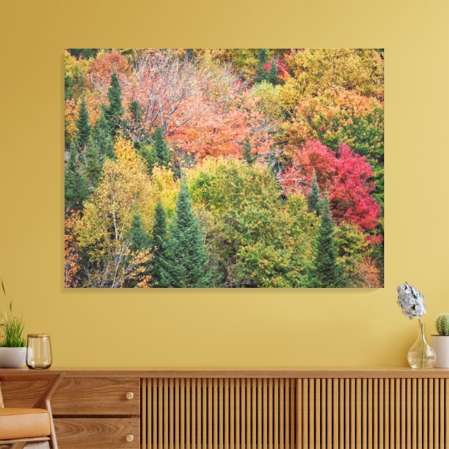 Lienzo Naranja Red Bush (Insitu (Sala de estar))