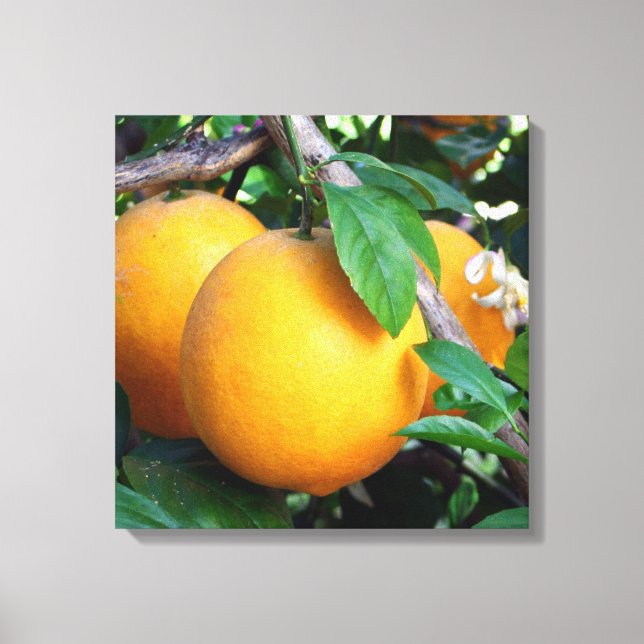 Lienzo Naranja - Tangelo (Anverso)