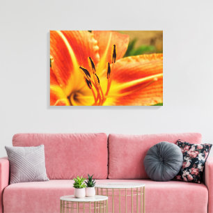 Lienzo Naranja Tiger Lily