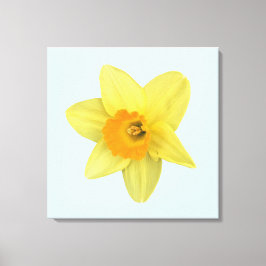 Lienzo Narciso de primavera amarillo