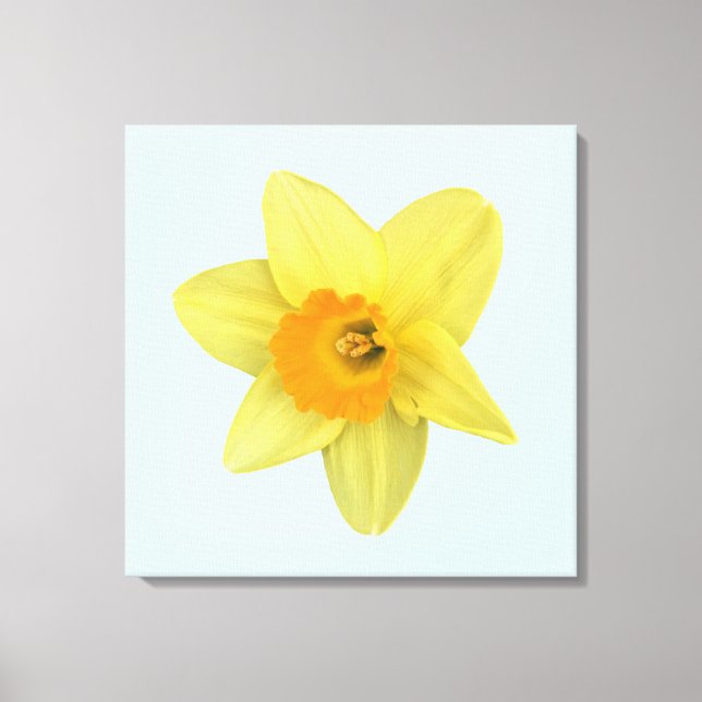 Lienzo Narciso de primavera amarillo (Anverso)