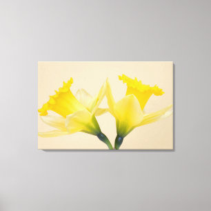 Lienzo Narcisos amarillos