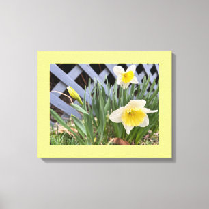 Lienzo Narcisos Amarillos #2