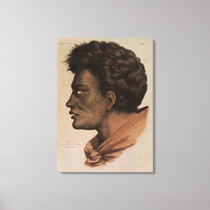 Lienzo Natai, jefe maorí de la bahía de la brema, Nueva