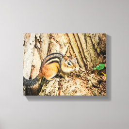 Lienzo Naturaleza de los animales salvajes Cute Chipmunk