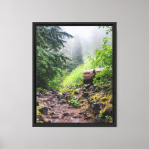 Naturaleza del bosque