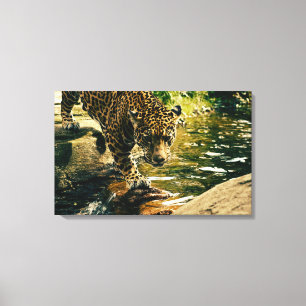 Lienzo Naturaleza del leopardo animal salvaje