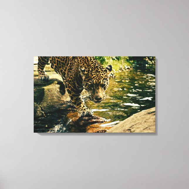 Lienzo Naturaleza del leopardo animal salvaje (Anverso)