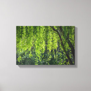 Lienzo Naturaleza verde del árbol silvestre
