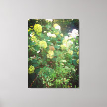 Naturas Regalos, Imprimir tela estirada