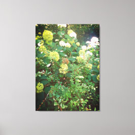 Lienzo Naturas Regalos, Imprimir tela estirada