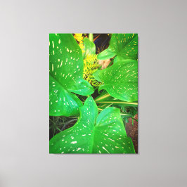 Lienzo Naturas Regalos, Imprimir tela estirada