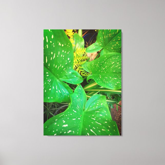 Lienzo Naturas Regalos, Imprimir tela estirada (Anverso)