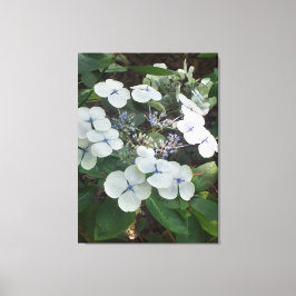 Lienzo Naturas Regalos, Imprimir tela estirada