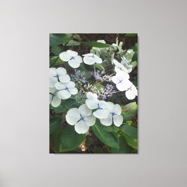 Lienzo Naturas Regalos, Imprimir tela estirada (Anverso)