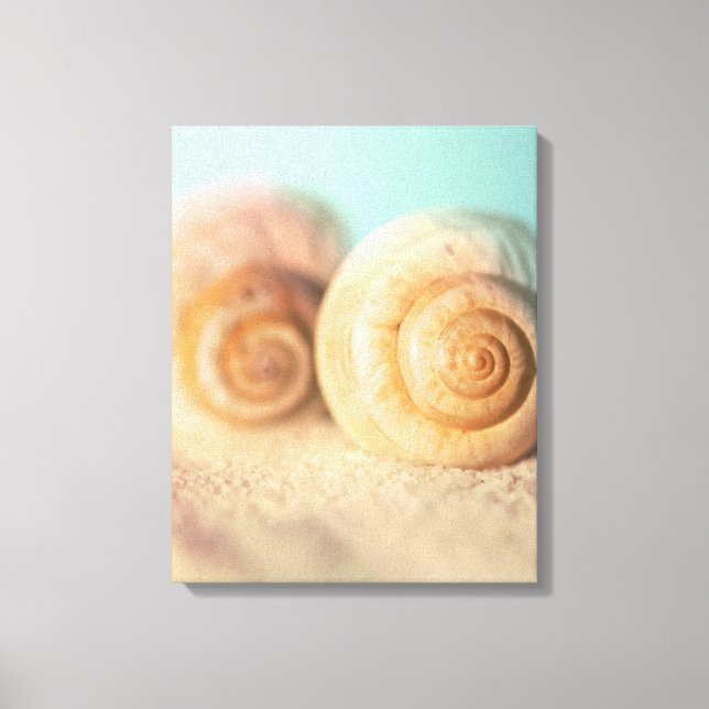 Lienzo Nautilus Shells On Beach (Anverso)