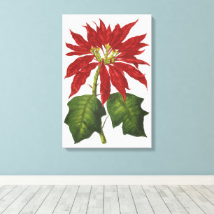 Lienzo Navidad Vintage, Planta Invernal de Poinsettia Roj