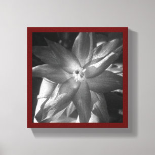 Lienzo navidades cactus
