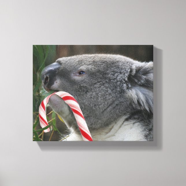 Lienzo Navidades de Koala Candy Cane (Anverso)