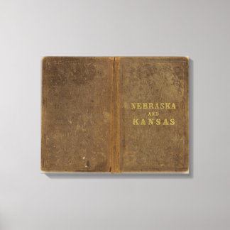 Lienzo Nebraska y Kansas 3
