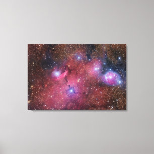 Lienzo Nebulosa de NGC 6559 en sagitario