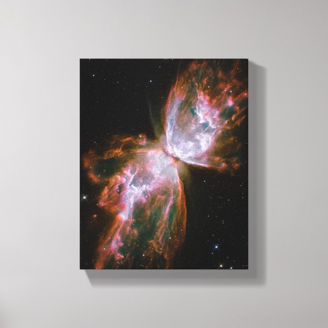 Lienzo Nebulosa Mariposa (Anverso)