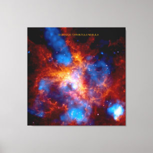 Lienzo Nebulosa Tarántula