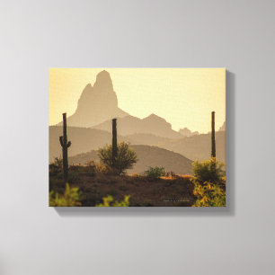 Lienzo Needle Arizona 1411 de Desert Mountain Weaver