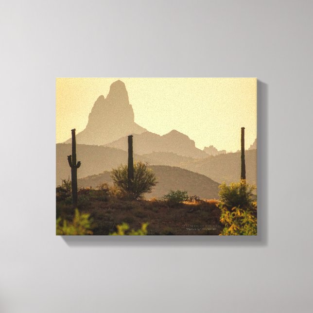 Lienzo Needle Arizona 1411 de Desert Mountain Weaver (Anverso)