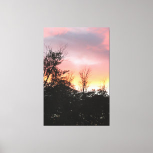 Lienzo Negro Rosa E Incoso