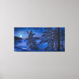 Lienzo Nevada costa del Mar Báltico con abeto en la noche