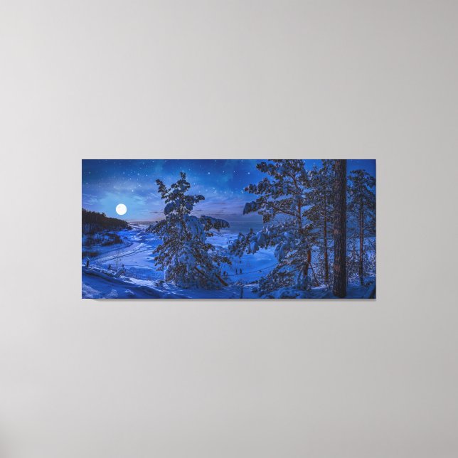 Lienzo Nevada costa del Mar Báltico con abeto en la noche (Anverso)