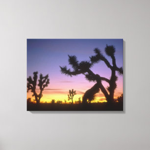 Lienzo NEVADA. EE. UU. Árboles de Josué Yucca brevifolia)