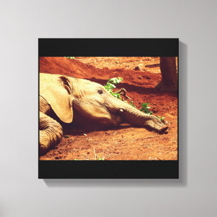 Lienzo Niarobi Elephant